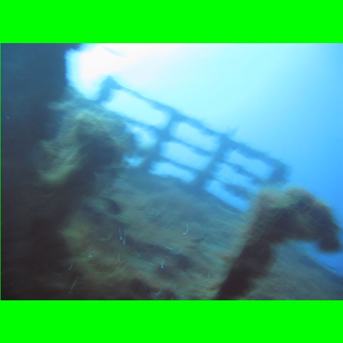 Dive WP Wrecks 25-Oct-09_267.JPG
